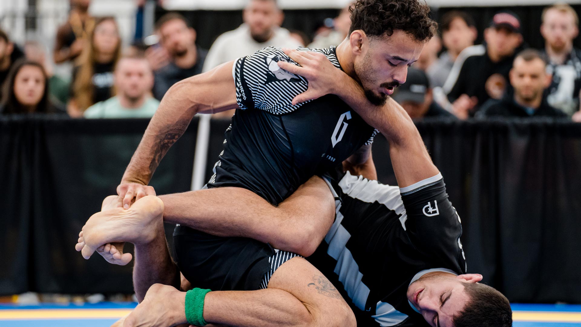 bjj martial arts on the mat