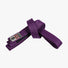Gameness Adult Belt Purple