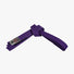 Gameness Ultra-Light Competition Belt Purple