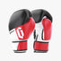 Modus Pro Sparring Gloves White Black Red