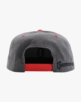 Gameness 3D Logo Hat