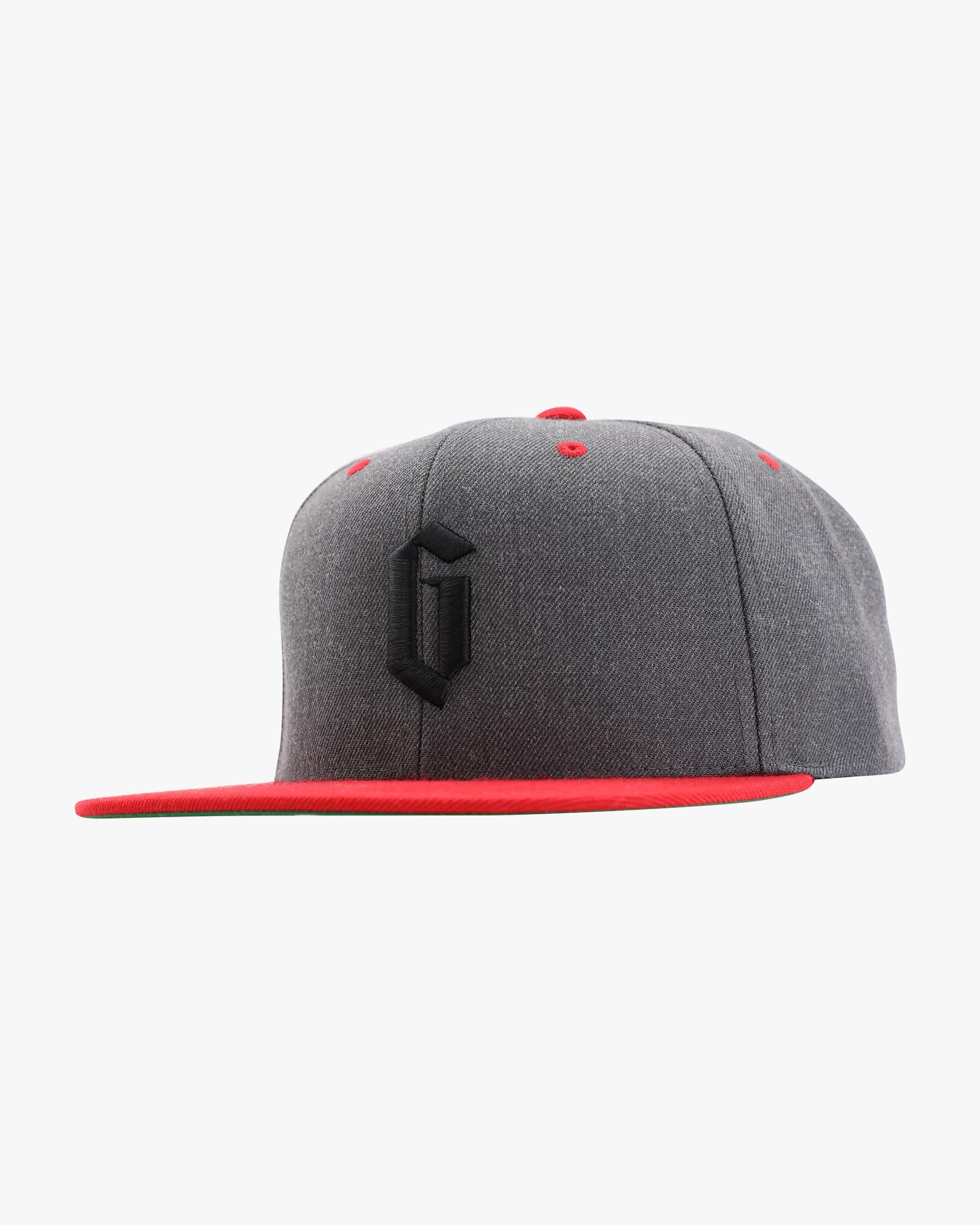 Gameness 3D Logo Hat