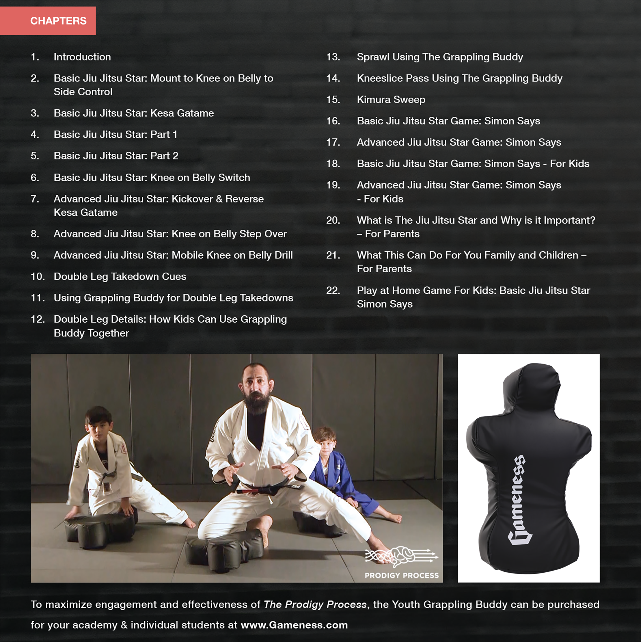 The Prodigy Process DVD