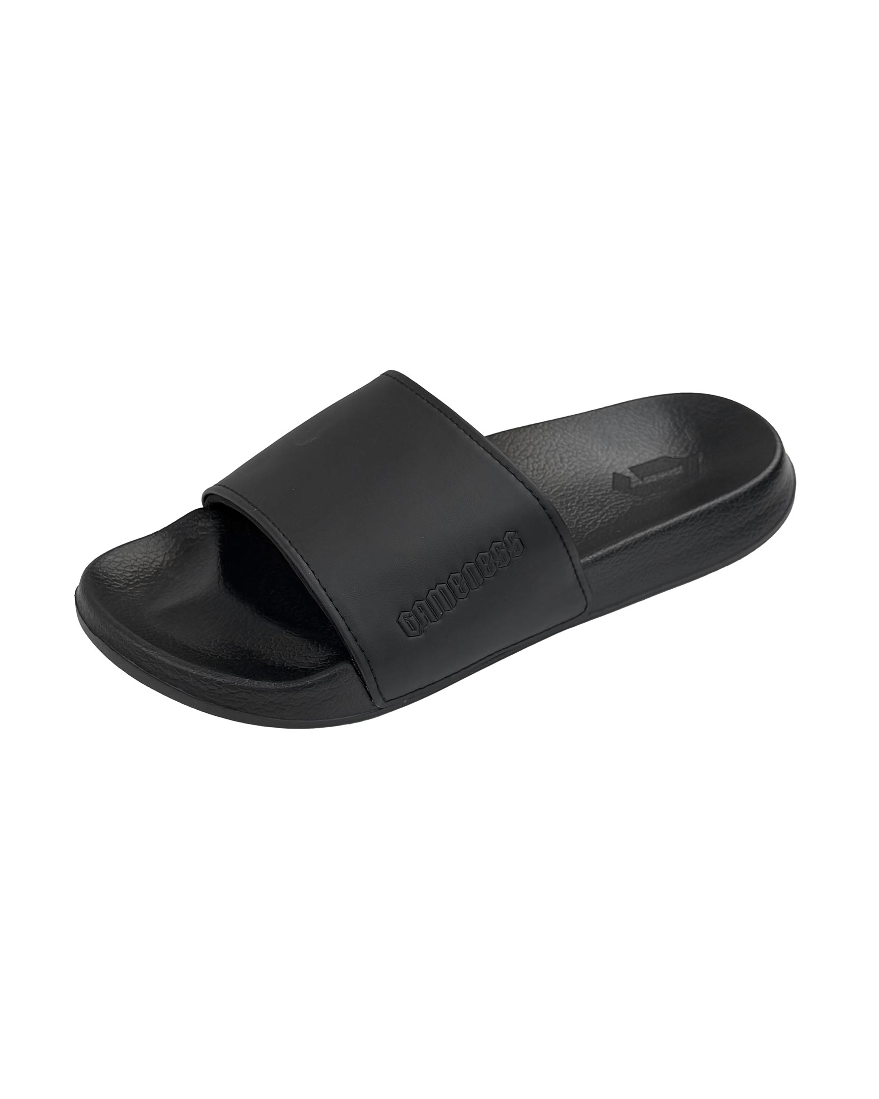 Gameness Slides