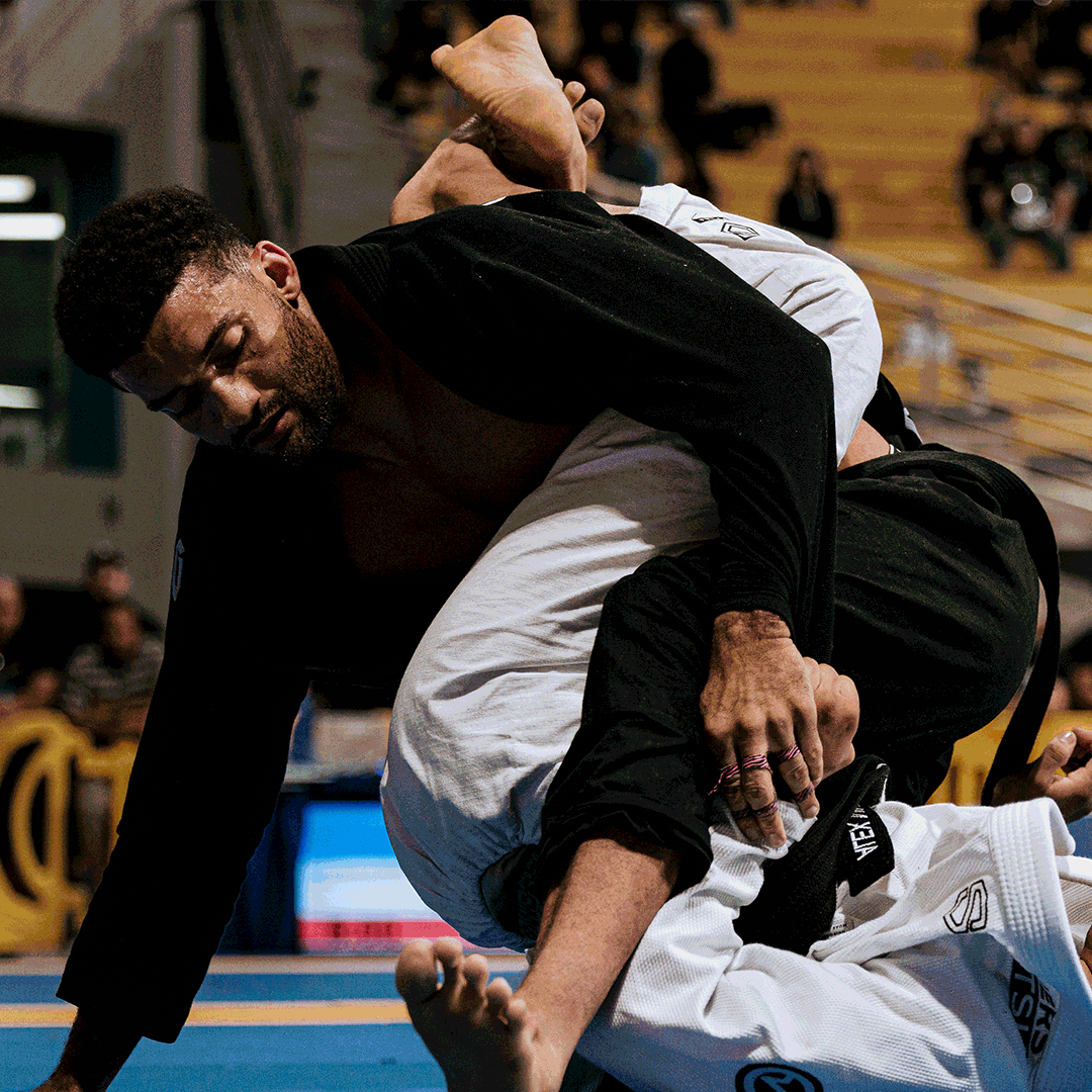 animated gif of martial artists in air pro 3.0