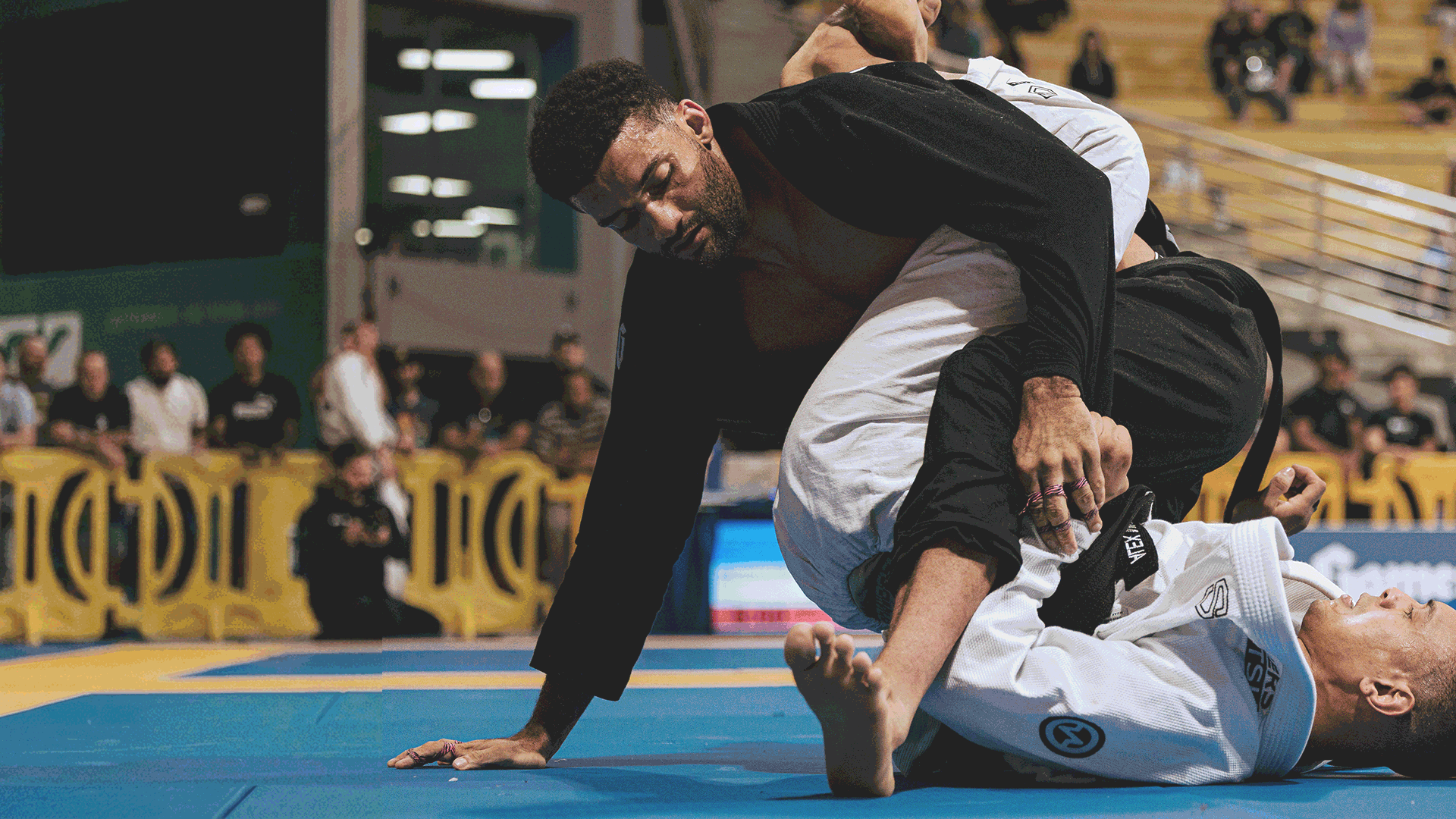 animated gif of martial artists in air pro 3.0
