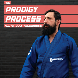 The Prodigy Process DVD
